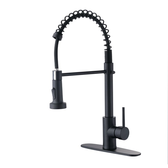 Kitchen faucet with a pull-out spray head