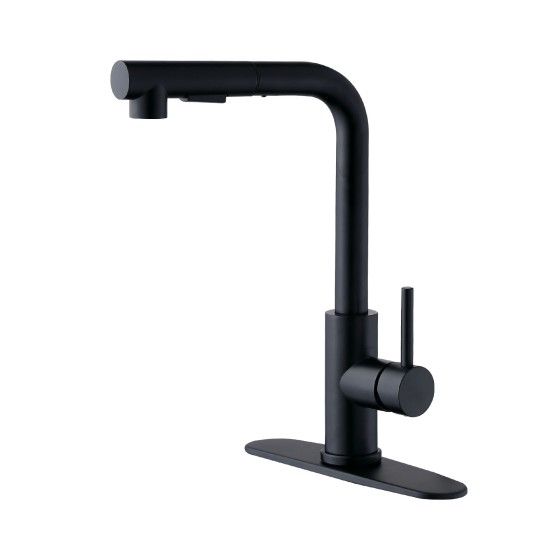 Kitchen Faucets with Pull Down Sprayer